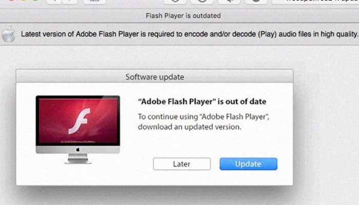 adobe flash updates for mac